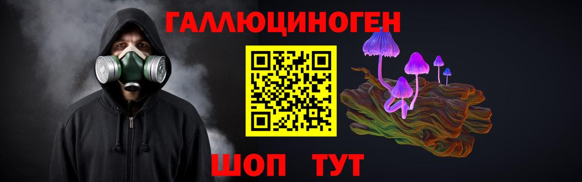 Кимры  Псилоцибиновые грибы мицелий  Вход с VPN 